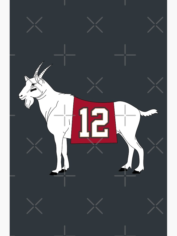 Brady Goat Tom Brady Goat TB12 Football Lovers Shirt, hoodie, sweater, long  sleeve and tank top