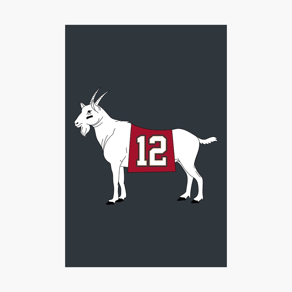 Limited Edition Tom Brady GOAT 12 Jersey Style Shirt Bucs 