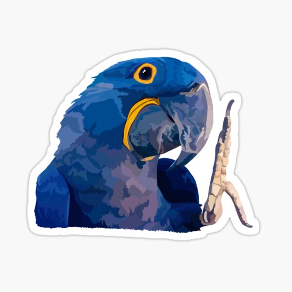 Item preview, H is for Hyacinth Macaw designed and sold by thezoogirl.