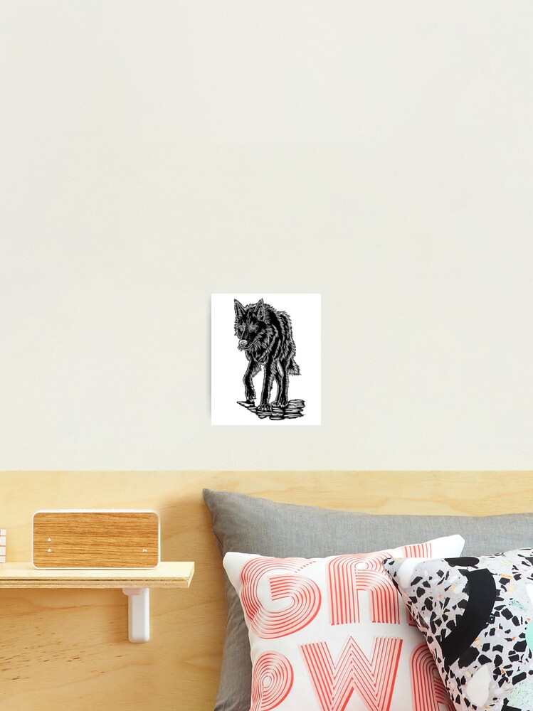 Black Wolf | Photographic Print