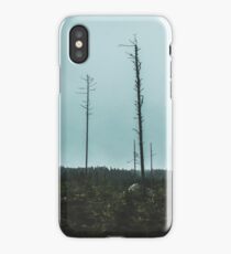 Desolate Trees iPhone Case