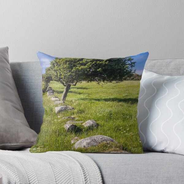 Item preview, Tree and Remains of Wall near Sandyhills Dumfries and Galloway Photograph designed and sold by CreativeNatureM.
