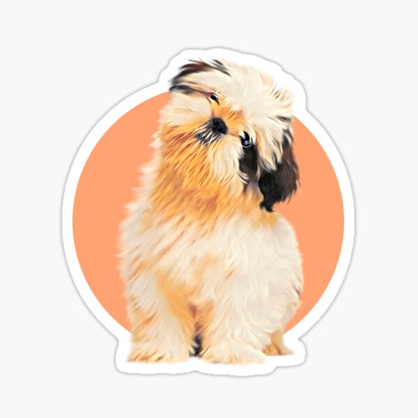 Cute Shih-Tzu puppy dog on peach background art graphic design Sticker