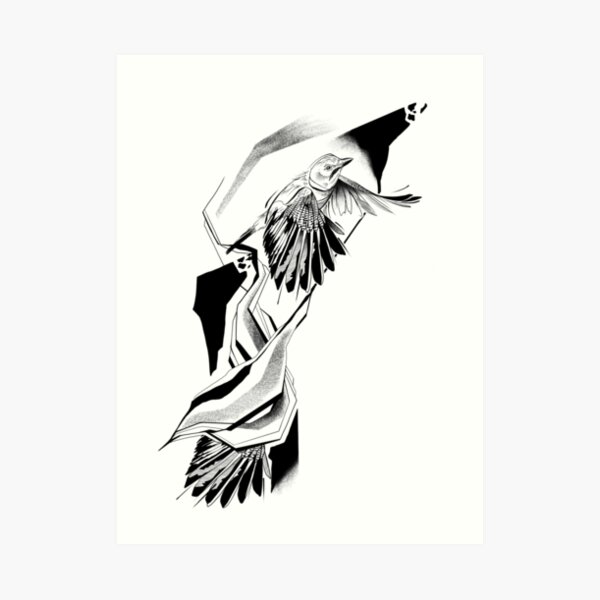 Eurasian Jay Art Print