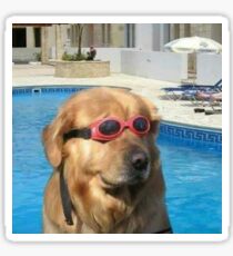 Swimming Pupper Sticker