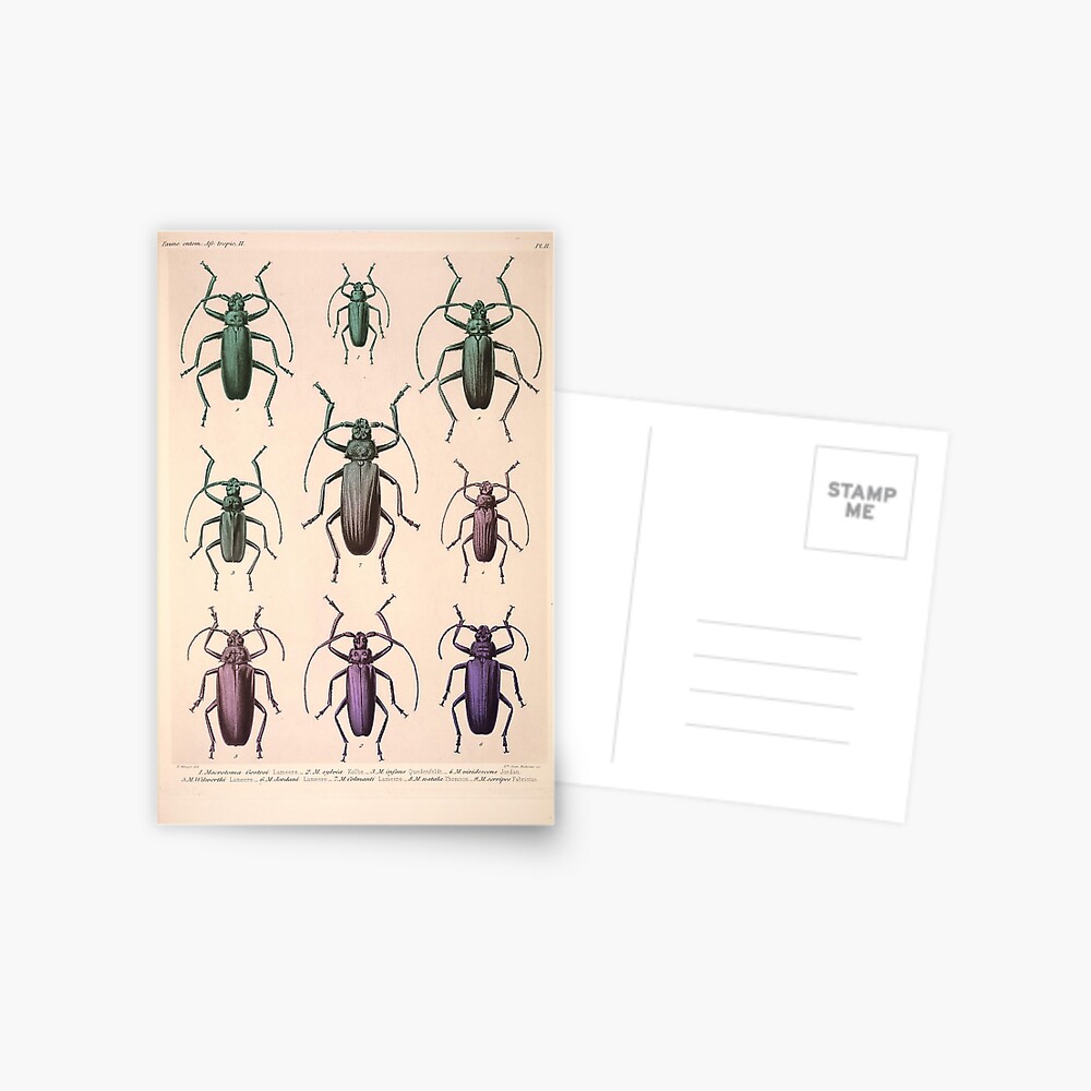 Item preview, Postcard designed and sold by Alex-Strange.