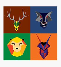 Game of Thrones Banners Photographic Print
