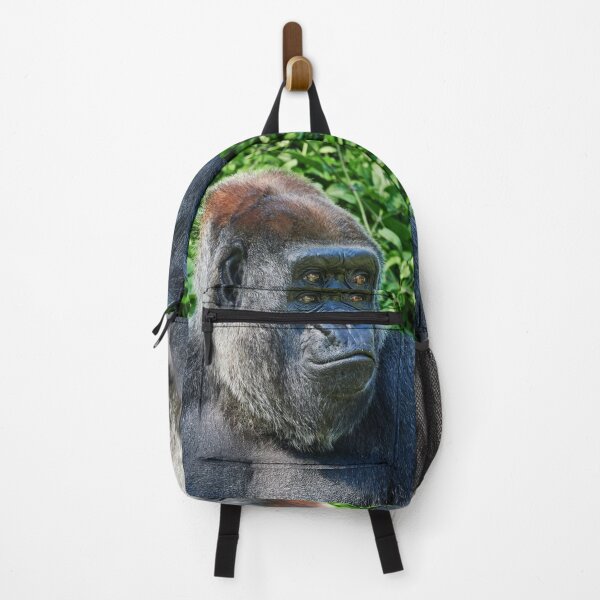 Item preview, Portrait of Western Lowland Gorilla at Berlin Zoo designed and sold by Jouko Lehto Photography.