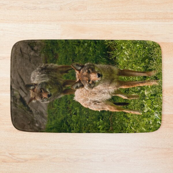 Item preview, Coyotes designed and sold by Michael Cummings.