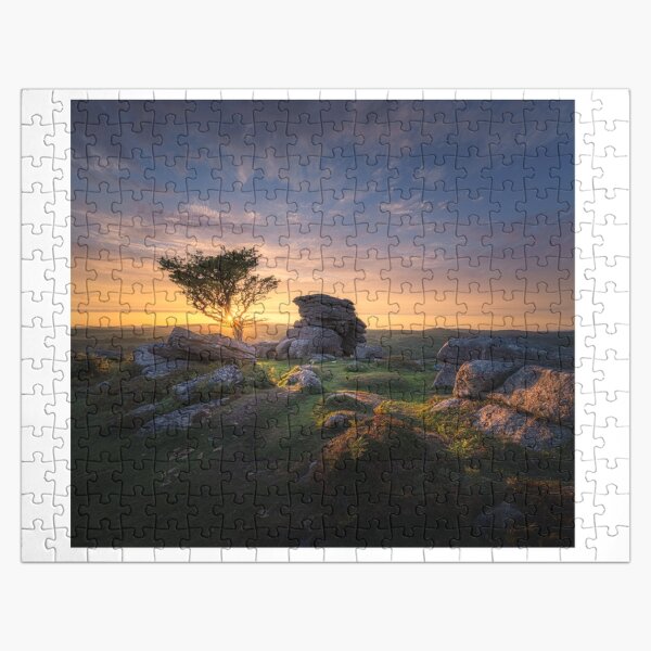 Defiant Jigsaw Puzzle