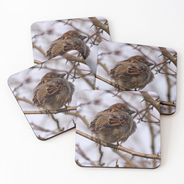 Item preview, Tree Sparrow designed and sold by GingerMan2550.