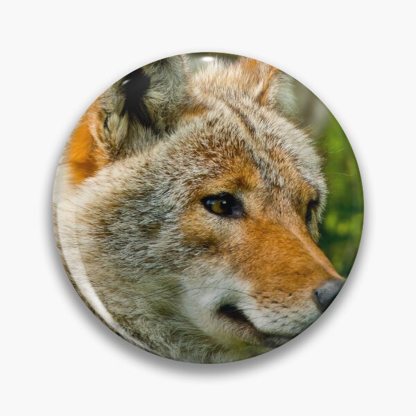 Item preview, Coyotes designed and sold by Michael Cummings.