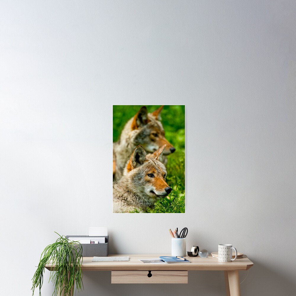 Item preview, Poster designed and sold by jaydee1400.