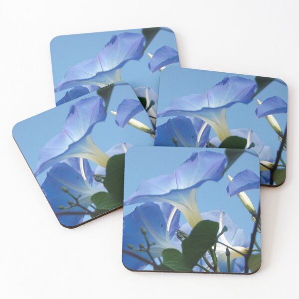 Aperçu de l'œuvre Blue Morning Glory, Morning Glory, Morning Glory créée et vendue par bernd49.