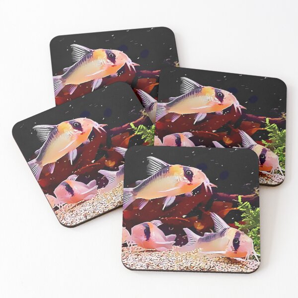 Item preview, Corydoras designed and sold by GFishy.
