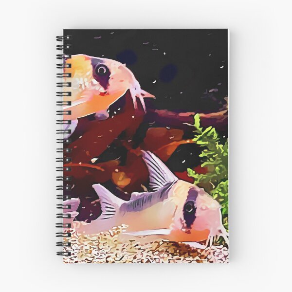 Item preview, Corydoras designed and sold by GFishy.