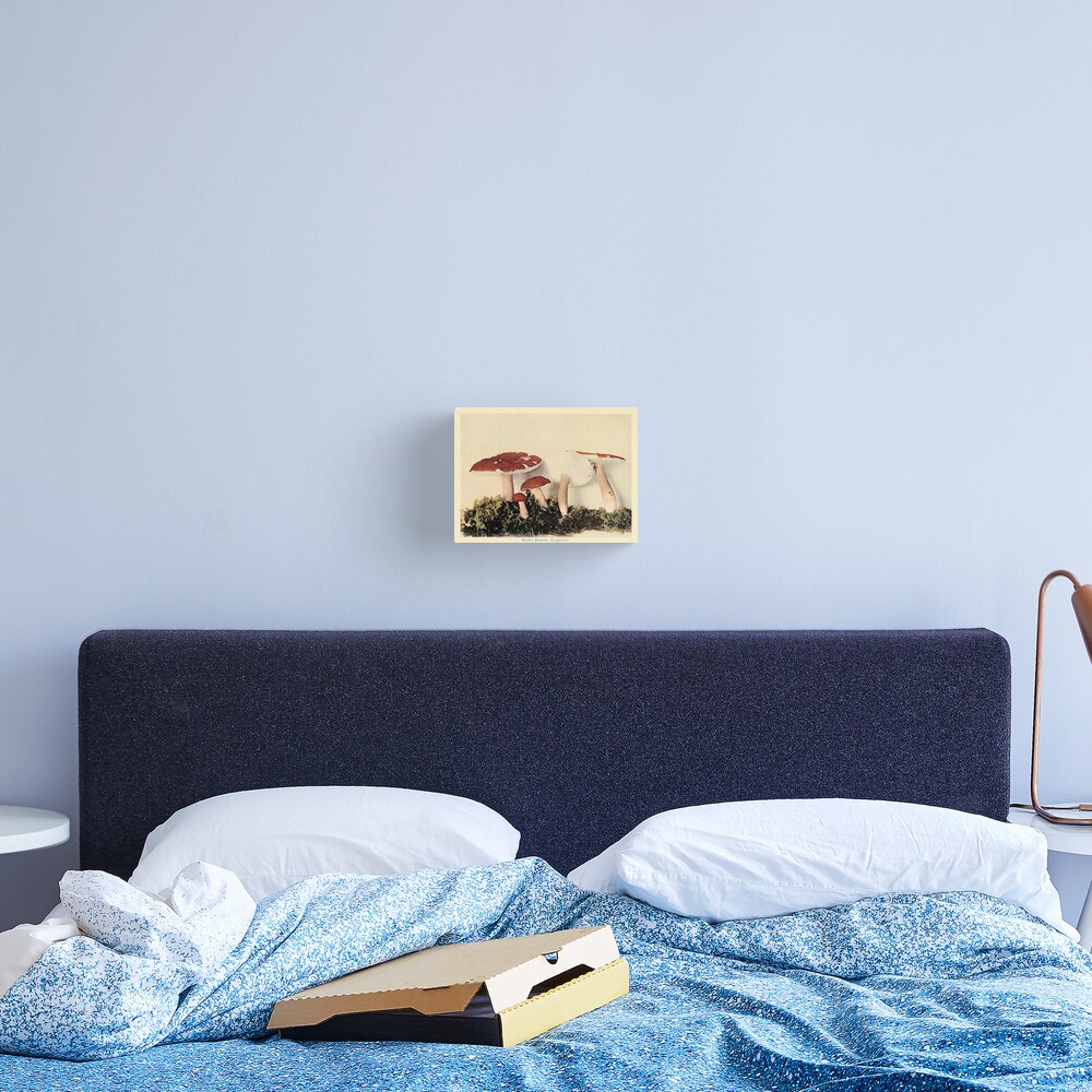 Item preview, Canvas Print designed and sold by Alex-Strange.