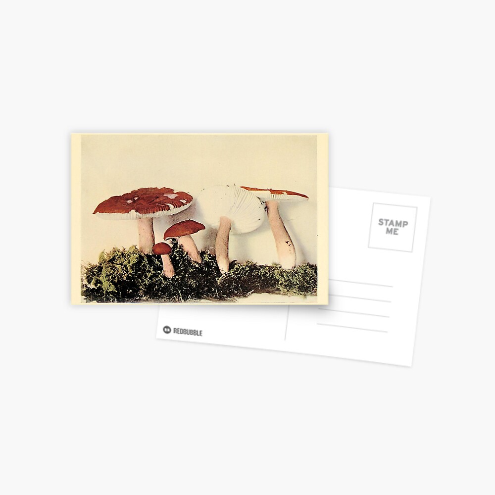 Item preview, Postcard designed and sold by Alex-Strange.