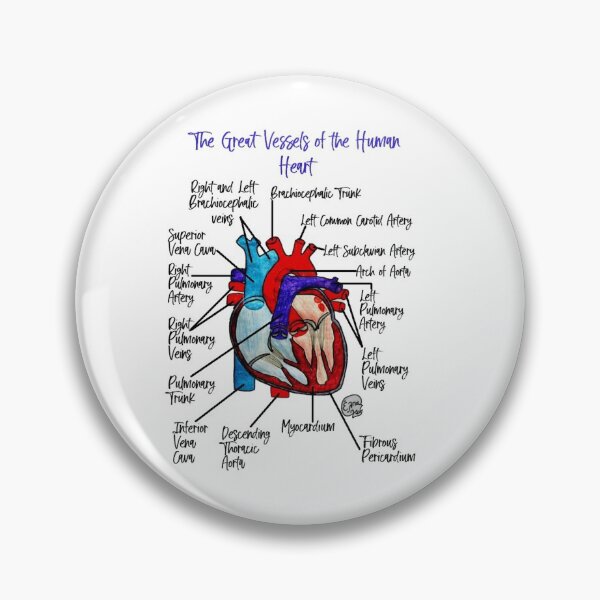 Item preview, The Great Vessels of the Human Heart designed and sold by Arte Del Cuerpo Humano.