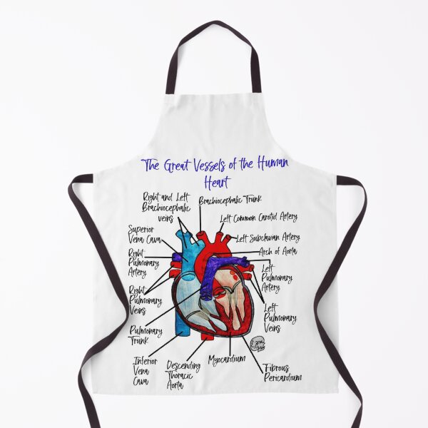 Item preview, The Great Vessels of the Human Heart designed and sold by Arte Del Cuerpo Humano.