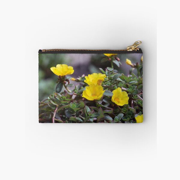Item preview, Longwood Gardens - Spring Series 152 designed and sold by sarahshanely.