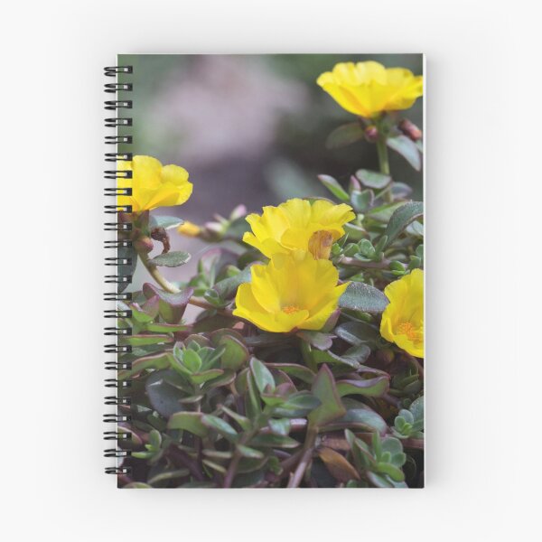 Item preview, Longwood Gardens - Spring Series 152 designed and sold by sarahshanely.