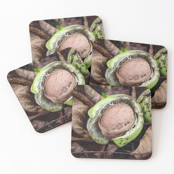 Item preview, Ripe walnut fruit designed and sold by Mahirov Shop.