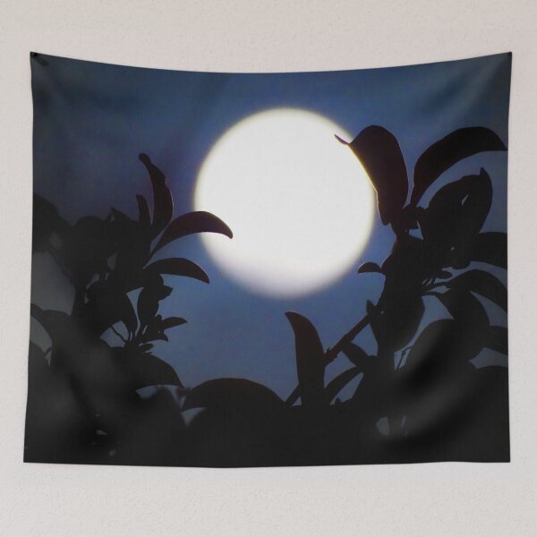 Item preview, Waxing Gibbous Moon An Almost Full Cold Moon designed and sold by JackieSparrow23.