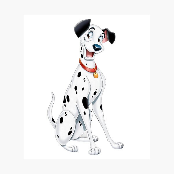 101 Dalmatians, one hubdred and one dalmatians Photographic Print