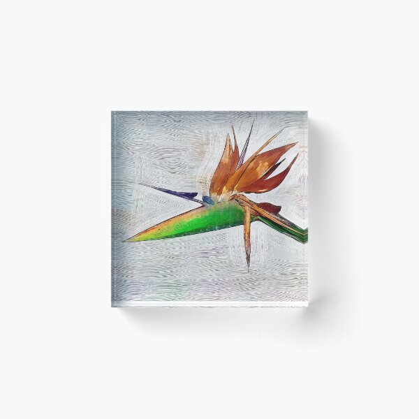 Item preview, A Bird Of Paradise Bloom designed and sold by KirtTisdale.