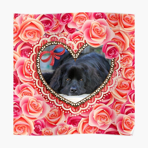 Newfie Heart Poster