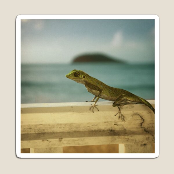 Aperçu de l'œuvre Harry lizzard BBC Death in Paradise créée et vendue par SaintMarie.
