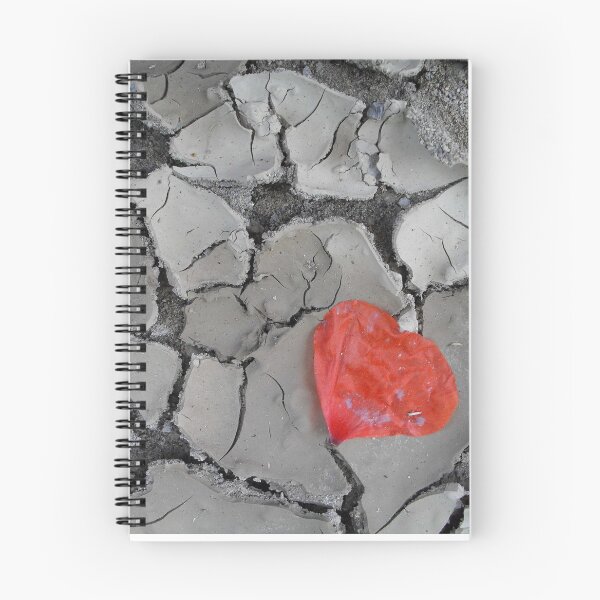 Aperçu de l'œuvre Coeur "Fragile Love" créée et vendue par Jane James.