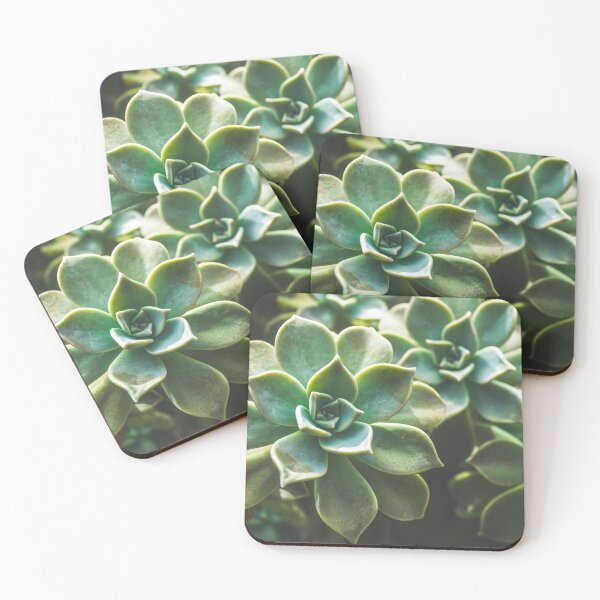 Item preview, Desert Rose designed and sold by Alex Tonetti Photography.