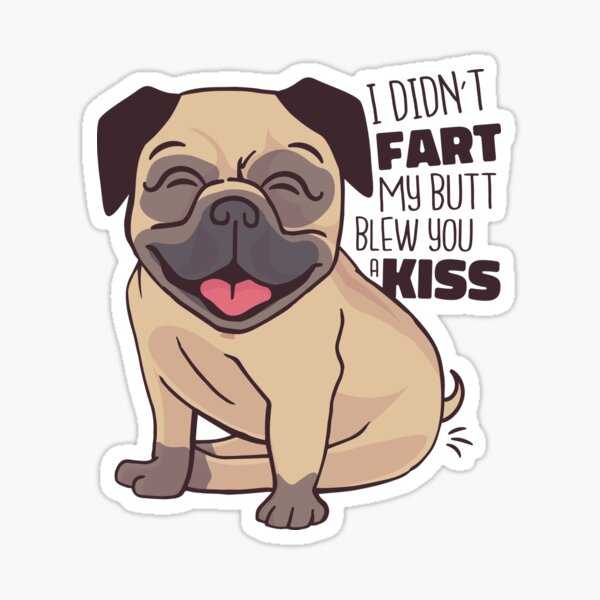 What The Pug, pug water bottle, a sarcastic gift for pug lovers, funny,  cute dog water bottle, wtf water bottle, pug life, pugs not drugs