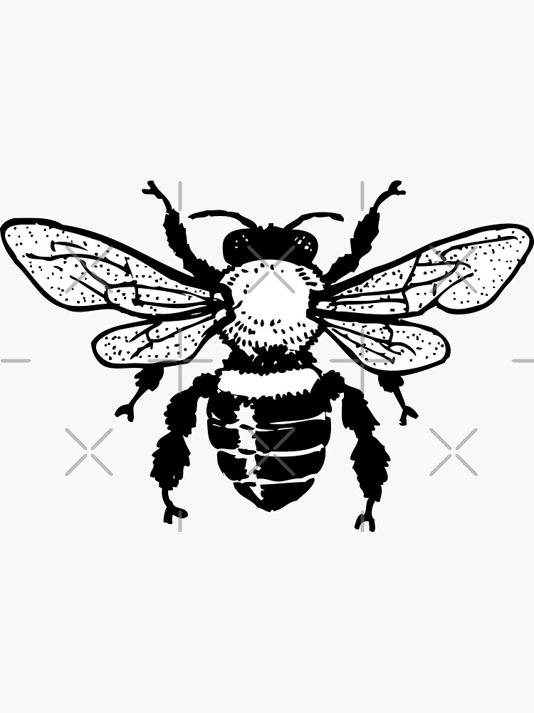 "Black and White Honey Bee TopView Drawing" Sticker for Sale by