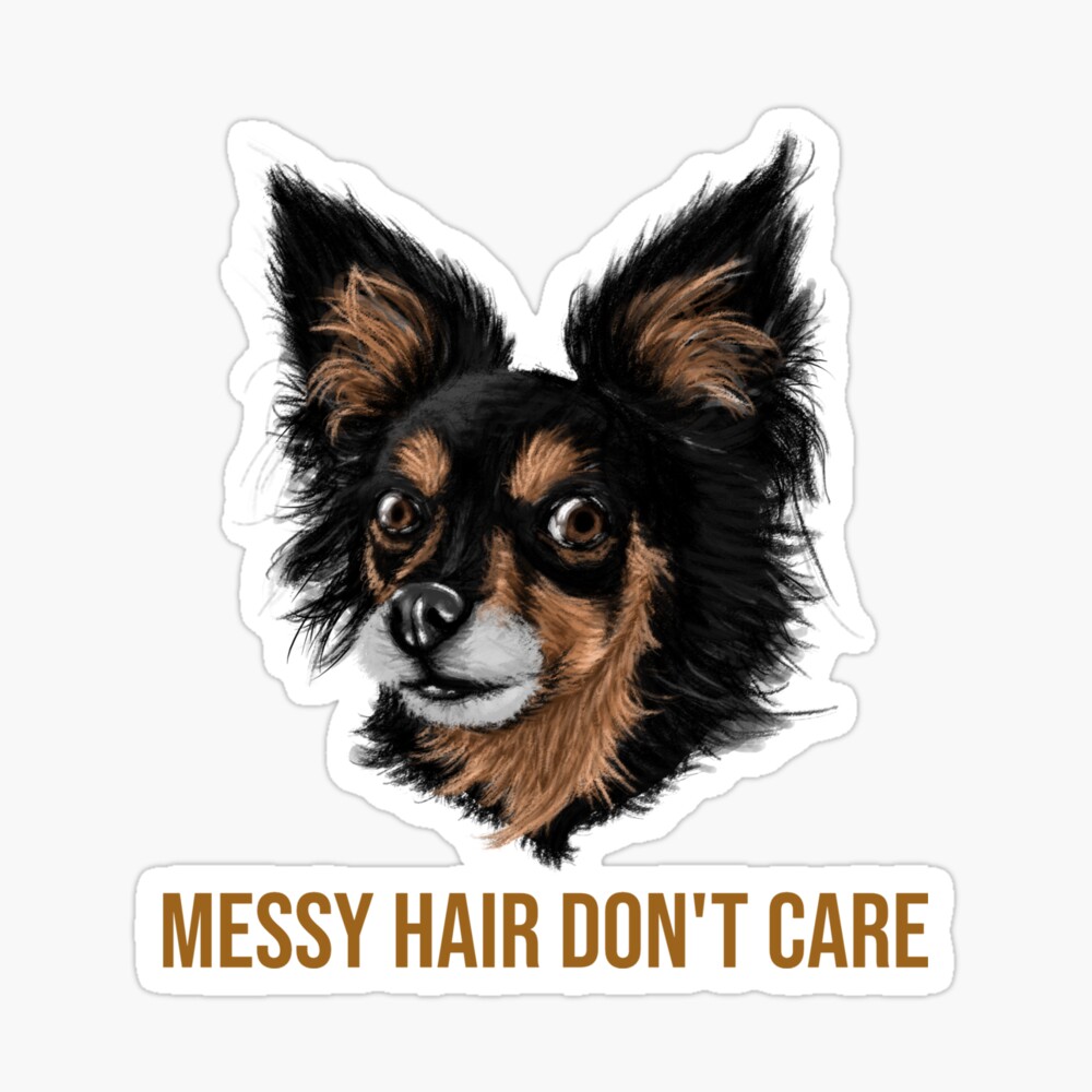 Messy Hair Don't Care - Cute Chihuahua Puppy Dog Messy Hair Don't Care - Cute Chihuahua Puppy Dog
