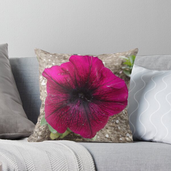 Item preview, Colorful Flower Close-Up, Jersey City, New Jersey designed and sold by lenspiro.