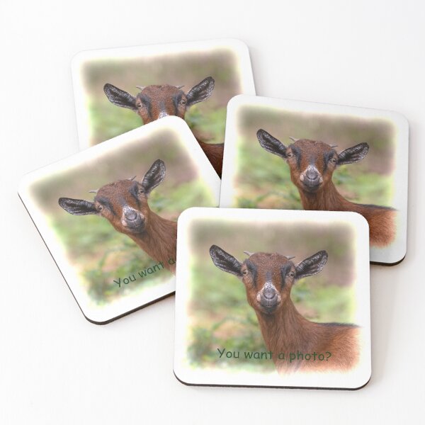 Item preview, Want a photo? Baby goat designed and sold by Tramontane Designs.