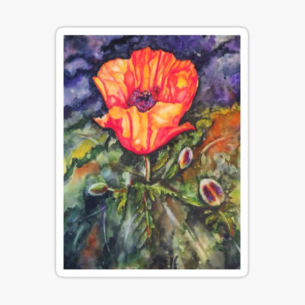 Orange Poppy Sticker