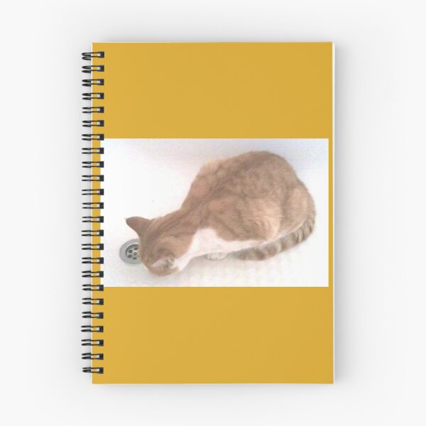 Artikelvorschau, Katze im Bad 1 entworfen und verkauft von Julia Woodman.