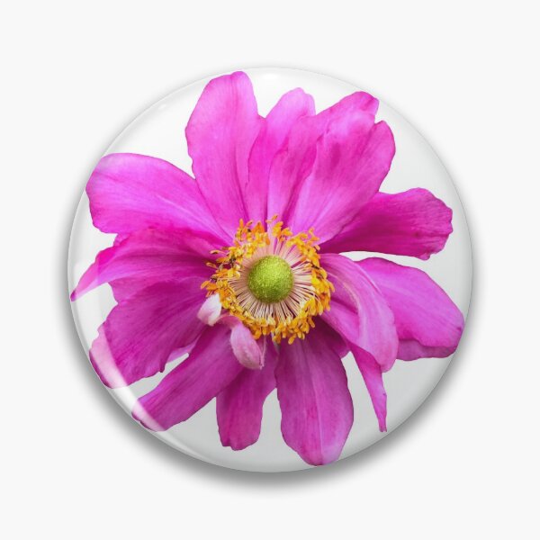 Item preview, Pink Anemone Flower Still Life Floral Photography designed and sold by CottoVerdi.
