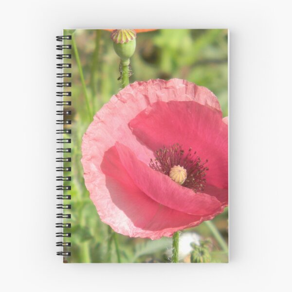 Item preview, Pink Poppy designed and sold by Navigator.