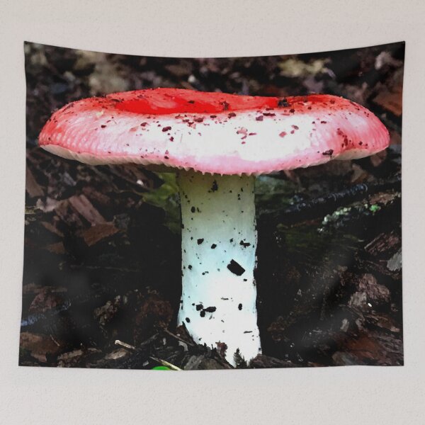 Item preview, Wild Mushroom designed and sold by Chriskasper.