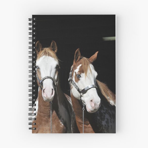 Item preview, paint horse brothers designed and sold by Dusty Perin.