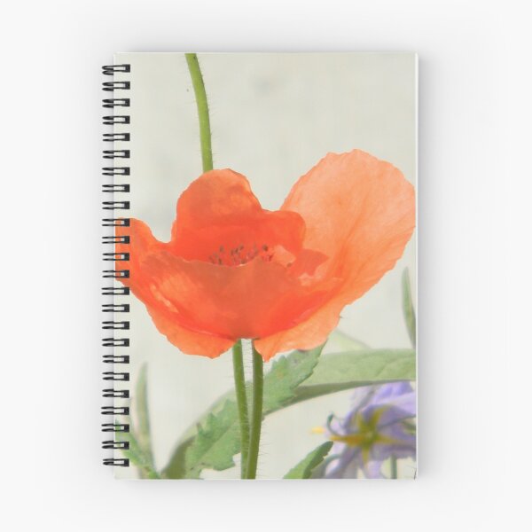 Item preview, Painted Poppy designed and sold by Navigator.