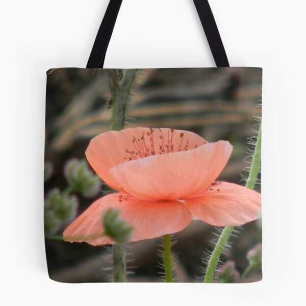 Item preview, Poppy at the Ballet designed and sold by Navigator.
