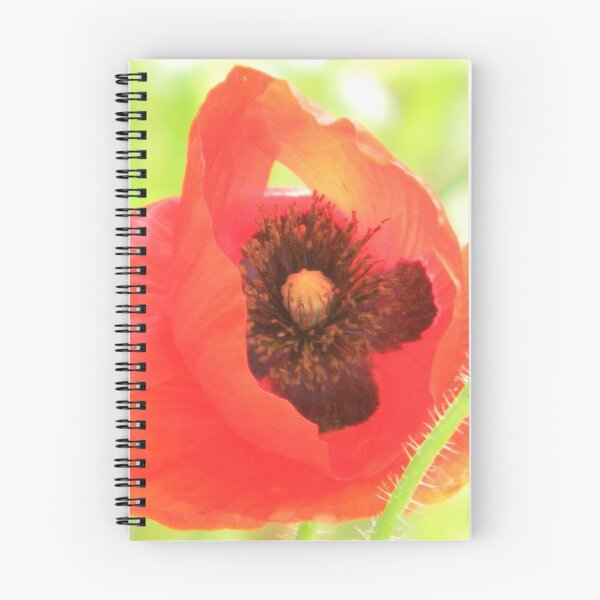 Item preview, Praying Poppy? designed and sold by Navigator.
