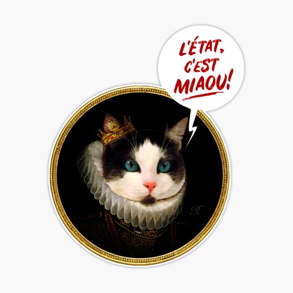 c'est moi Sticker