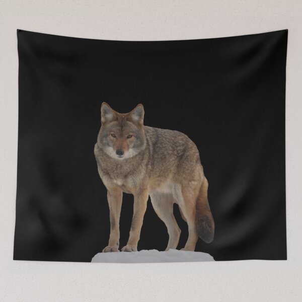 Item preview, Snow Wolf designed and sold by InventorsCave.